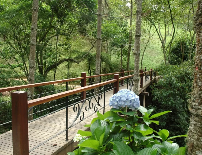 pousada-casa-bonita-a-pousada-home-2-3