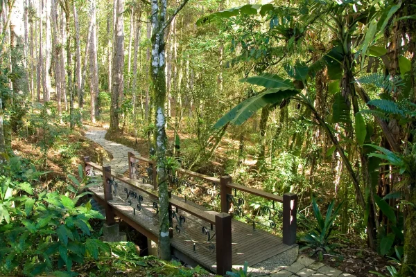 pousada-casa-bonita-a-pousada-natureza-exuberante-2-2