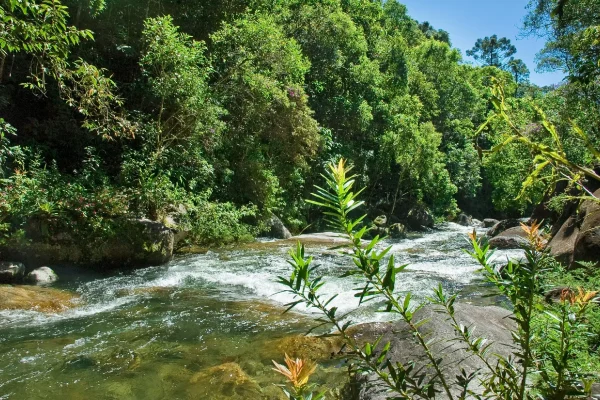 pousada-casa-bonita-a-pousada-natureza-exuberante-2-5